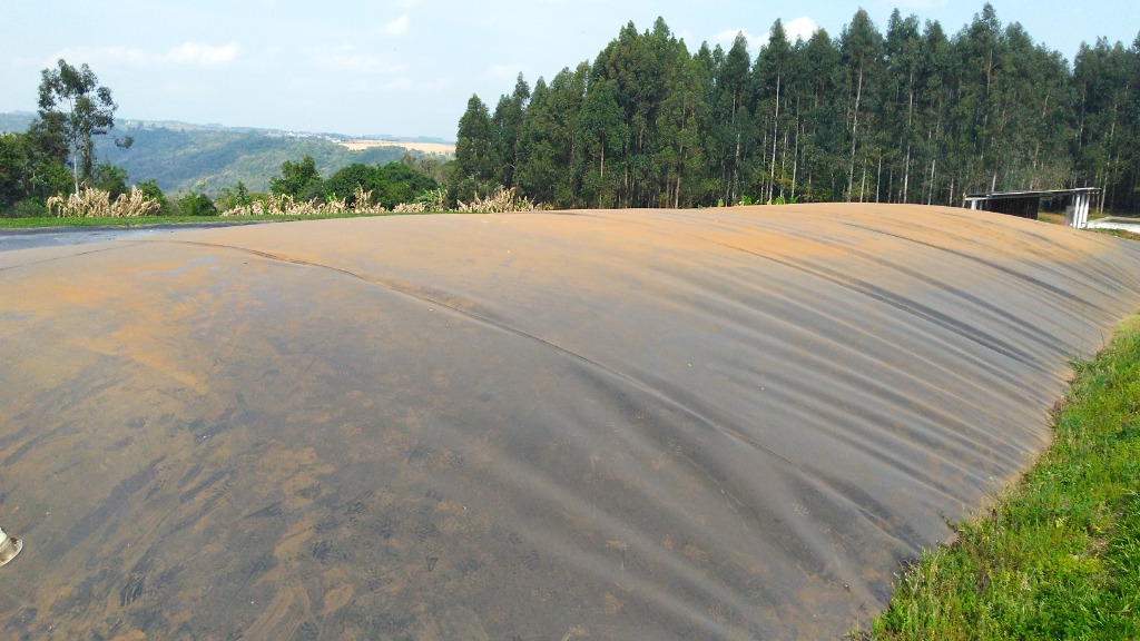 Biodigestores e Bioenergia